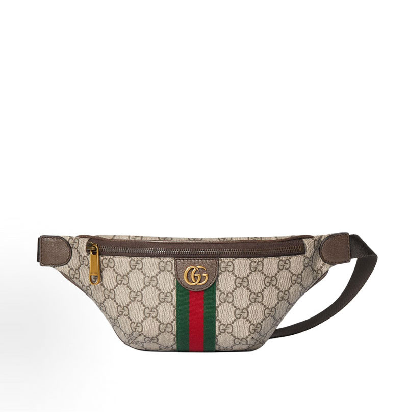 [스페셜오더]GUCCI-839106 FAEOF 9745 오피디아 스몰 벨트백