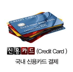 신용카드(Credit Card)국내 신용카드 결제